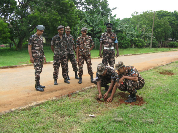 SLAF Plants 100000 Trees