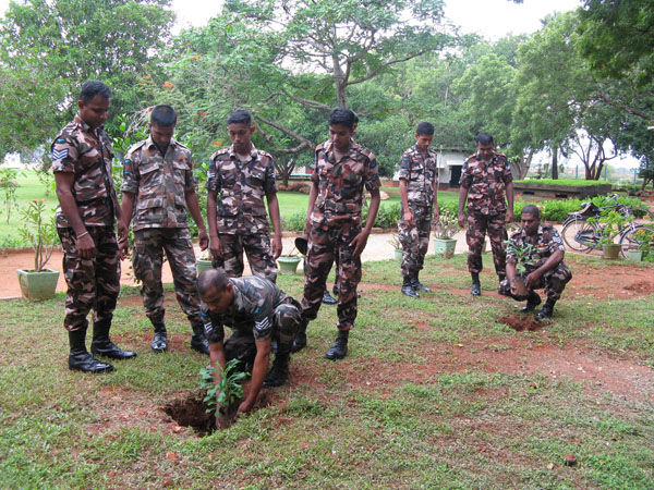 SLAF Plants 100000 Trees