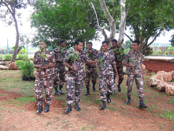 SLAF Plants 100000 Trees