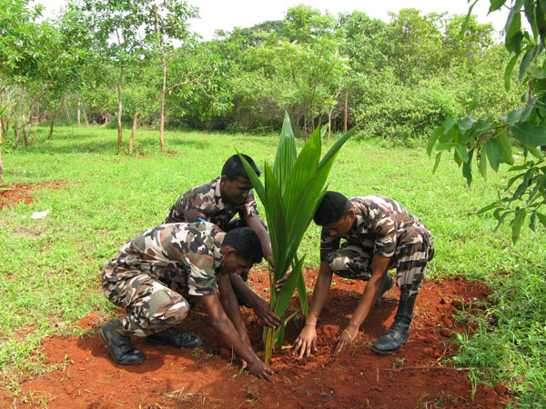 SLAF Plants 100000 Trees