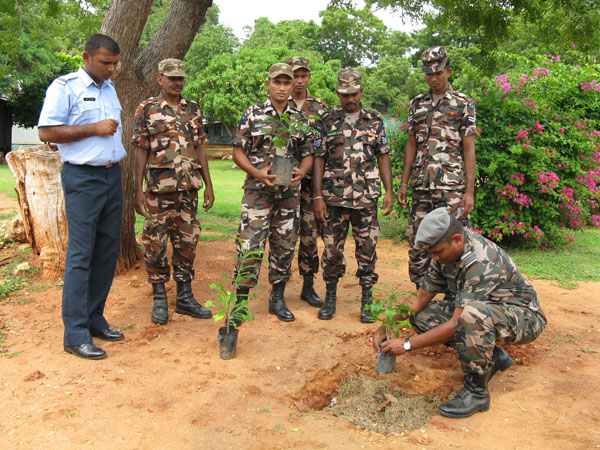 SLAF Plants 100000 Trees