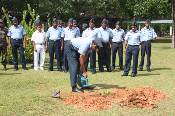 ශ්රී ලංකා ගුවන් හමුදාව පැළ ලක්ෂයක් සිටුවයි..