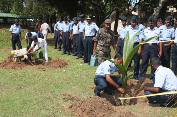 ශ්රී ලංකා ගුවන් හමුදාව පැළ ලක්ෂයක් සිටුවයි..