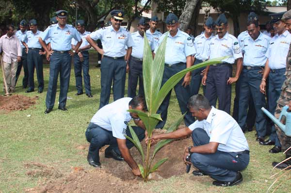 ශ්රී ලංකා ගුවන් හමුදාව පැළ ලක්ෂයක් සිටුවයි..