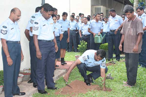 ශ්රී ලංකා ගුවන් හමුදාව පැළ ලක්ෂයක් සිටුවයි..