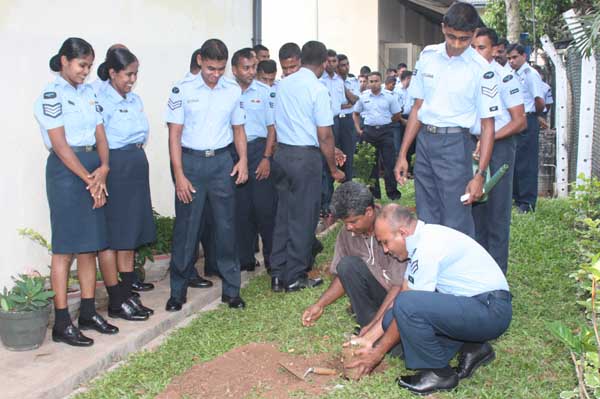 ශ්රී ලංකා ගුවන් හමුදාව පැළ ලක්ෂයක් සිටුවයි..