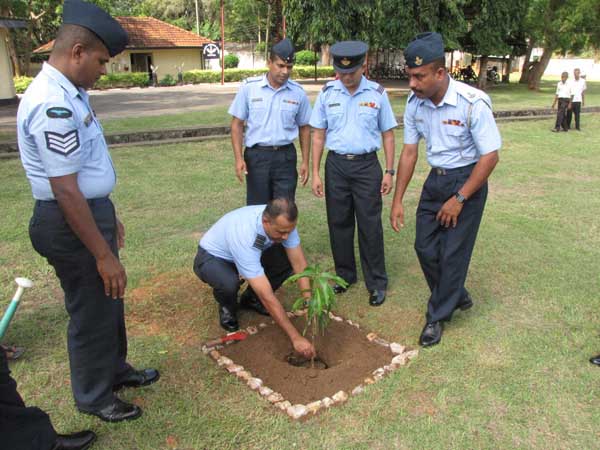 ශ්රී ලංකා ගුවන් හමුදාව පැළ ලක්ෂයක් සිටුවයි..