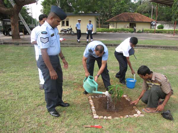 ශ්රී ලංකා ගුවන් හමුදාව පැළ ලක්ෂයක් සිටුවයි..