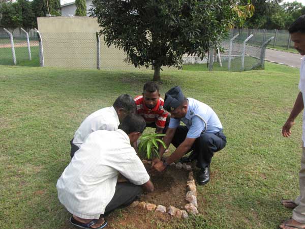 ශ්රී ලංකා ගුවන් හමුදාව පැළ ලක්ෂයක් සිටුවයි..