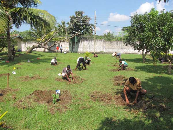 ශ්රී ලංකා ගුවන් හමුදාව පැළ ලක්ෂයක් සිටුවයි..