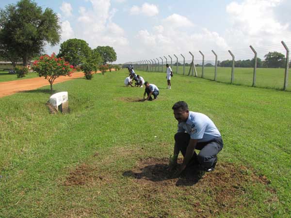 ශ්රී ලංකා ගුවන් හමුදාව පැළ ලක්ෂයක් සිටුවයි..