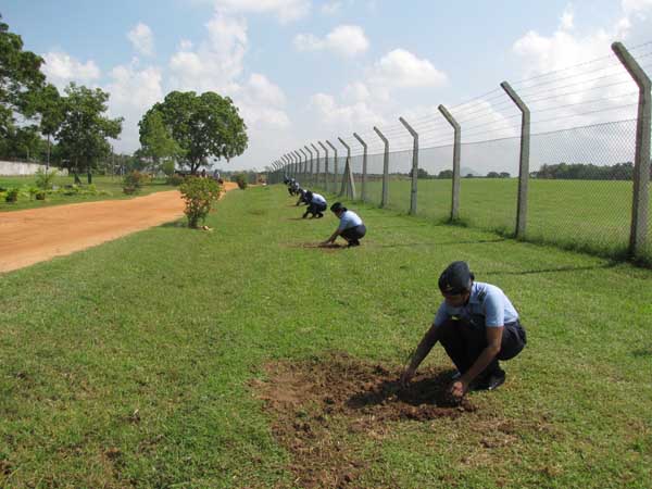 ශ්රී ලංකා ගුවන් හමුදාව පැළ ලක්ෂයක් සිටුවයි..