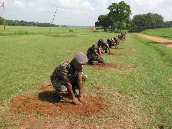ශ්රී ලංකා ගුවන් හමුදාව පැළ ලක්ෂයක් සිටුවයි..