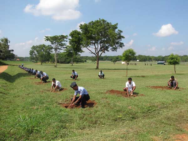 ශ්රී ලංකා ගුවන් හමුදාව පැළ ලක්ෂයක් සිටුවයි..