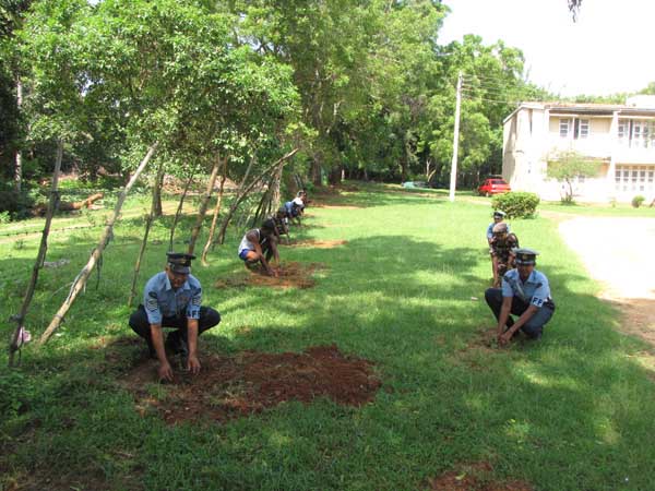 ශ්රී ලංකා ගුවන් හමුදාව පැළ ලක්ෂයක් සිටුවයි..