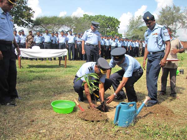 ශ්රී ලංකා ගුවන් හමුදාව පැළ ලක්ෂයක් සිටුවයි..