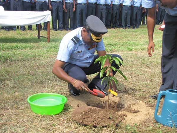 ශ්රී ලංකා ගුවන් හමුදාව පැළ ලක්ෂයක් සිටුවයි..