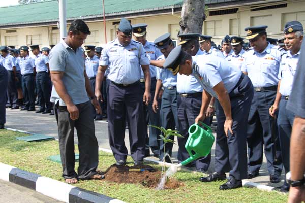 ශ්රී ලංකා ගුවන් හමුදාව පැළ ලක්ෂයක් සිටුවයි..