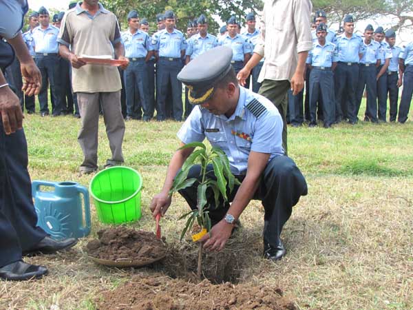 ශ්රී ලංකා ගුවන් හමුදාව පැළ ලක්ෂයක් සිටුවයි..