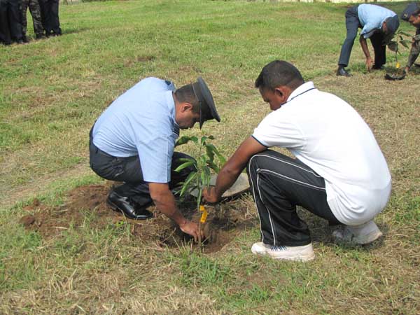 ශ්රී ලංකා ගුවන් හමුදාව පැළ ලක්ෂයක් සිටුවයි..