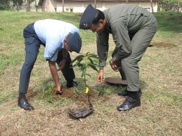 ශ්රී ලංකා ගුවන් හමුදාව පැළ ලක්ෂයක් සිටුවයි..