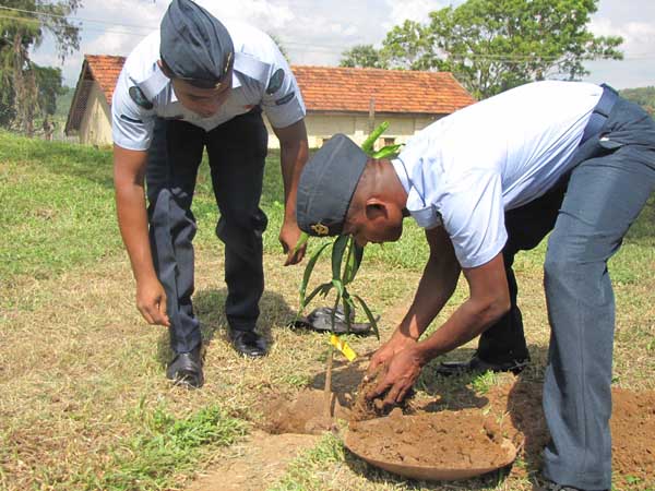 ශ්රී ලංකා ගුවන් හමුදාව පැළ ලක්ෂයක් සිටුවයි..