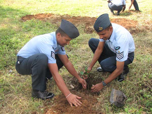 ශ්රී ලංකා ගුවන් හමුදාව පැළ ලක්ෂයක් සිටුවයි..