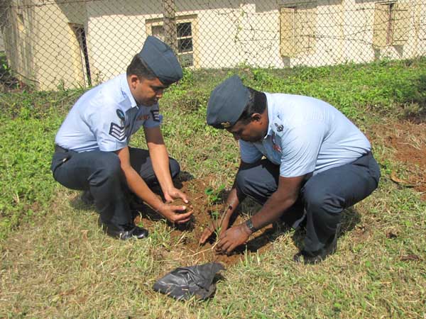 ශ්රී ලංකා ගුවන් හමුදාව පැළ ලක්ෂයක් සිටුවයි..