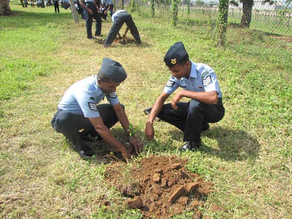 ශ්රී ලංකා ගුවන් හමුදාව පැළ ලක්ෂයක් සිටුවයි..