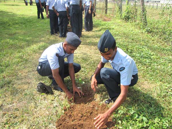 ශ්රී ලංකා ගුවන් හමුදාව පැළ ලක්ෂයක් සිටුවයි..