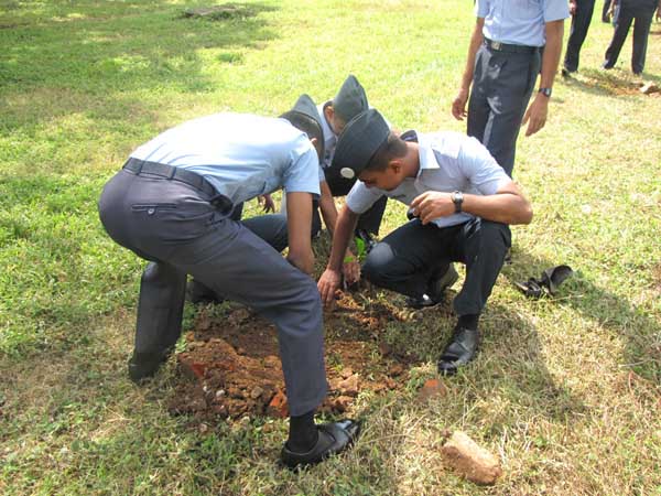 ශ්රී ලංකා ගුවන් හමුදාව පැළ ලක්ෂයක් සිටුවයි..