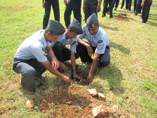 ශ්රී ලංකා ගුවන් හමුදාව පැළ ලක්ෂයක් සිටුවයි..