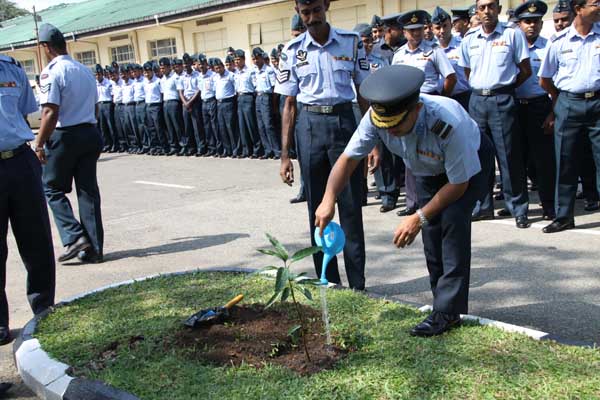 ශ්රී ලංකා ගුවන් හමුදාව පැළ ලක්ෂයක් සිටුවයි..