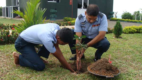 ශ්රී ලංකා ගුවන් හමුදාව පැළ ලක්ෂයක් සිටුවයි..