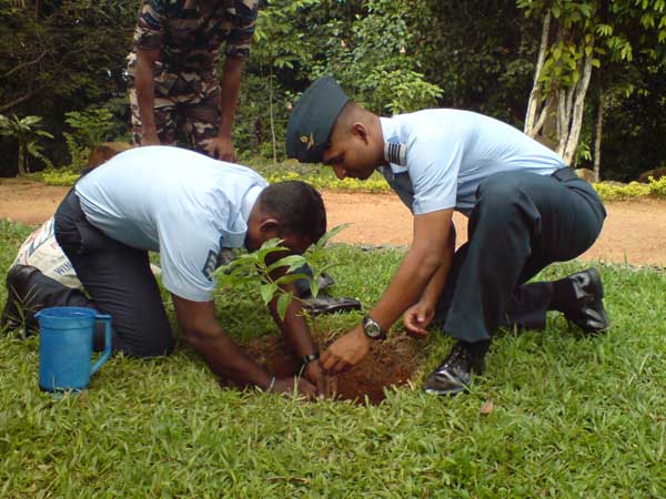 ශ්රී ලංකා ගුවන් හමුදාව පැළ ලක්ෂයක් සිටුවයි..