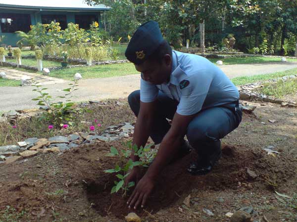 ශ්රී ලංකා ගුවන් හමුදාව පැළ ලක්ෂයක් සිටුවයි..