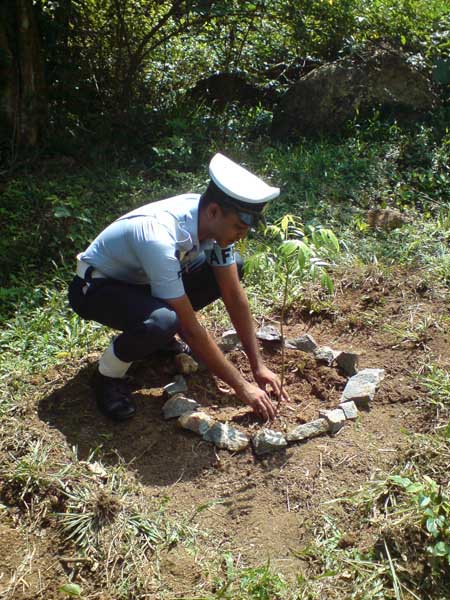ශ්රී ලංකා ගුවන් හමුදාව පැළ ලක්ෂයක් සිටුවයි..