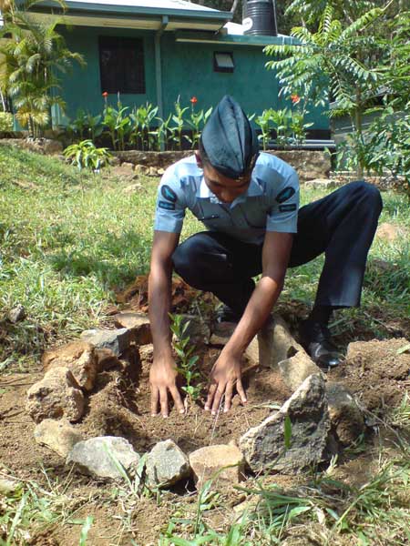 ශ්රී ලංකා ගුවන් හමුදාව පැළ ලක්ෂයක් සිටුවයි..