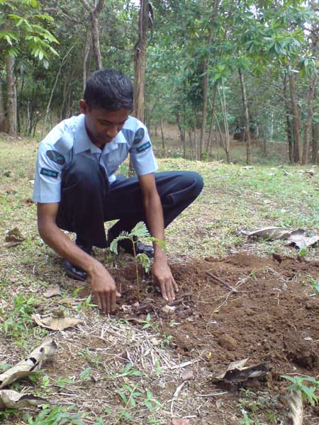 ශ්රී ලංකා ගුවන් හමුදාව පැළ ලක්ෂයක් සිටුවයි..