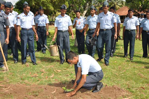 ශ්රී ලංකා ගුවන් හමුදාව පැළ ලක්ෂයක් සිටුවයි..