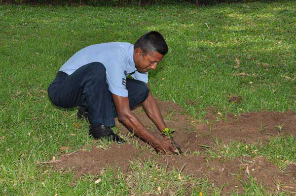 ශ්රී ලංකා ගුවන් හමුදාව පැළ ලක්ෂයක් සිටුවයි..