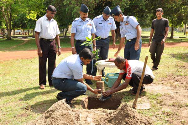 ශ්රී ලංකා ගුවන් හමුදාව පැළ ලක්ෂයක් සිටුවයි..