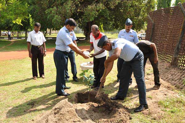 ශ්රී ලංකා ගුවන් හමුදාව පැළ ලක්ෂයක් සිටුවයි..