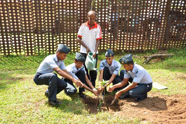 ශ්රී ලංකා ගුවන් හමුදාව පැළ ලක්ෂයක් සිටුවයි..