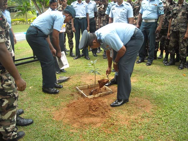 ශ්රී ලංකා ගුවන් හමුදාව පැළ ලක්ෂයක් සිටුවයි..
