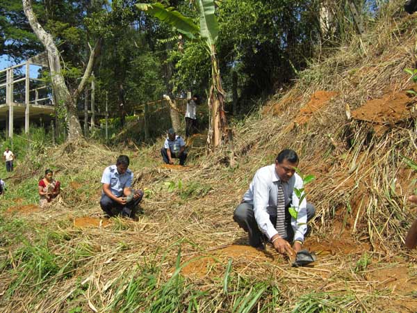 ශ්රී ලංකා ගුවන් හමුදාව පැළ ලක්ෂයක් සිටුවයි..