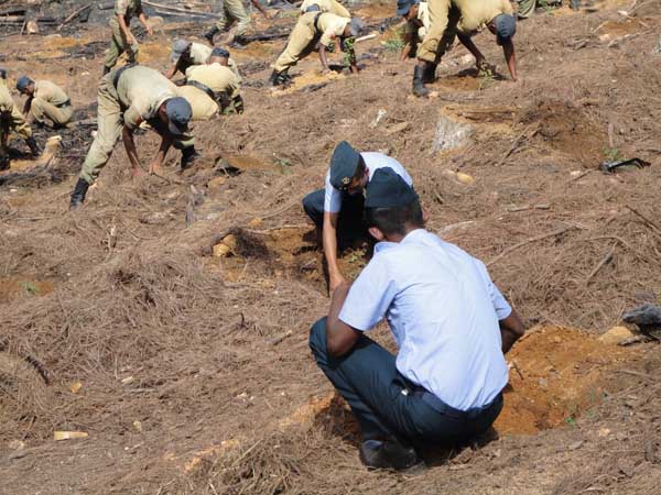 ශ්රී ලංකා ගුවන් හමුදාව පැළ ලක්ෂයක් සිටුවයි..