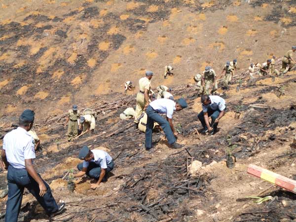 ශ්රී ලංකා ගුවන් හමුදාව පැළ ලක්ෂයක් සිටුවයි..