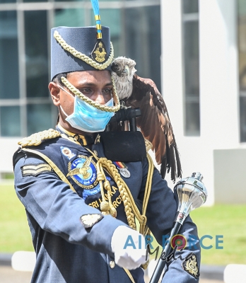 Outgoing Commander of the Navy calls on the Commander of the Air Force