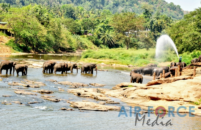 Pakistan Air Force Chief visits Temple of the Sacred Tooth